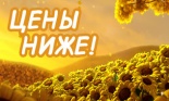 Коттеджный поселок  