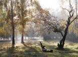 Участки в 3-х км от Пестовского водохранилища