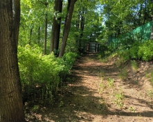 Купить  в Подмосковье, Ленинградское ш.