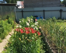 Купить  в Подмосковье, Ленинградское ш.