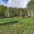 Коттеджный поселок Изумрудный 2: . Дмитровское ш., 56 км от МКАД