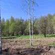 Коттеджный поселок Изумрудный 2: . Дмитровское ш., 56 км от МКАД