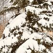 Коттеджный поселок Миллениум Парк: . Новорижское ш., 19 км от МКАД