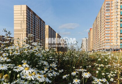 Изображение №6 для ЖК Пригород Лесное