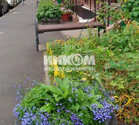 3-комн. квартира