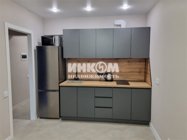 1-комнатная квартира, Глухово д, Романовская ул, 13
