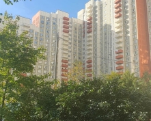 Купить трехкомнатную квартиру в Подмосковье, Молодежная ул