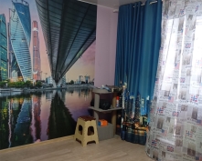 Купить однокомнатную квартиру в Подмосковье, Центральная ул