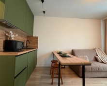 Купить однокомнатную квартиру в Подмосковье, Парковый мкр