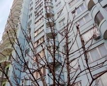 Купить двухкомнатную квартиру в Подмосковье, Подмосковная ул