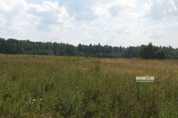 Коттеджный поселок КП Знаменка Парк: Участки. Минское ш., 115 км от МКАД