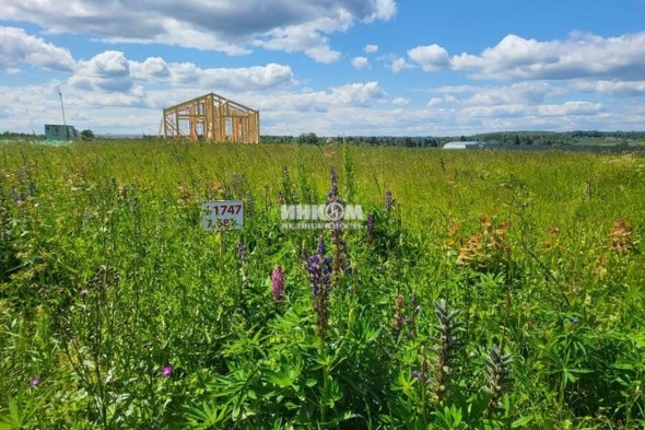 Коттеджный поселок Усадьбы Горки: Участки. Рогачевское ш., 42 км от МКАД