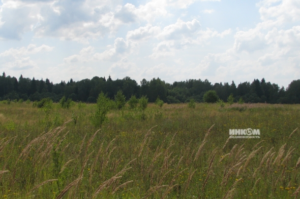 Коттеджный поселок КП Знаменка Парк: Участки. Минское ш., 115 км от МКАД