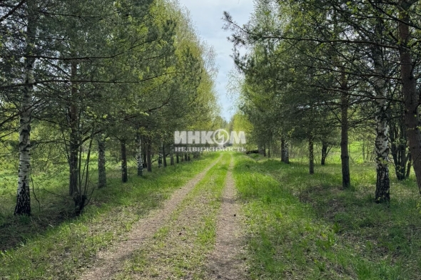 Коттеджный поселок Батюшково-2: Дома. Дмитровское ш., 38 км от МКАД