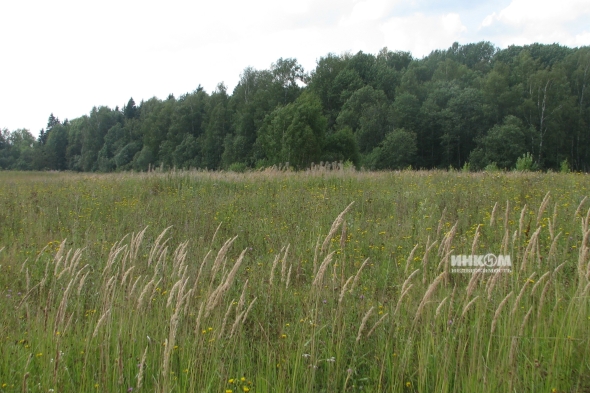 Коттеджный поселок КП Знаменка Парк: Участки. Минское ш., 115 км от МКАД