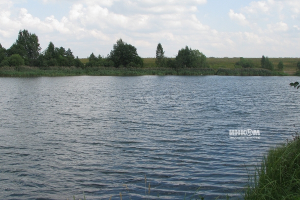 Коттеджный поселок Знаменка Парк: Участки. Минское ш., 115 км от МКАД