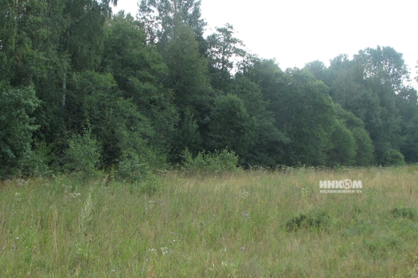 Коттеджный поселок Знаменка Парк: Участки. Минское ш., 115 км от МКАД