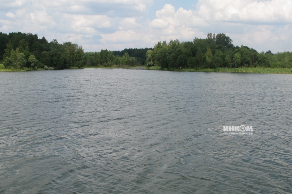 Коттеджный поселок Знаменка Парк: Участки. Минское ш., 115 км от МКАД