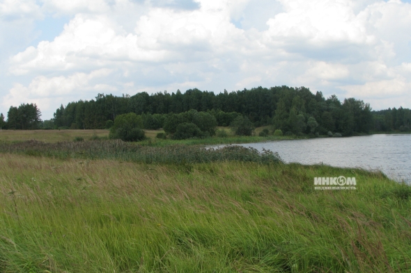 Коттеджный поселок Знаменка Парк: Участки. Минское ш., 115 км от МКАД