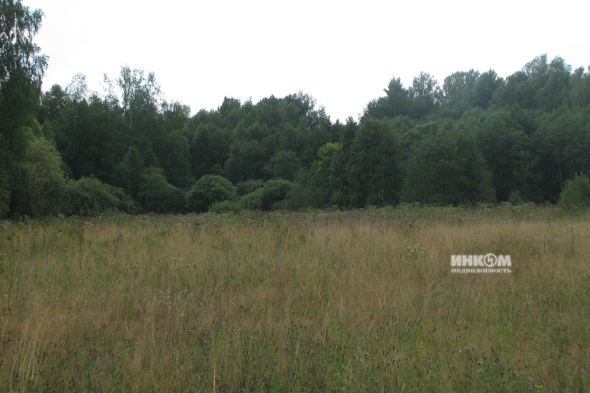 Коттеджный поселок Знаменка Парк: Участки. Минское ш., 115 км от МКАД