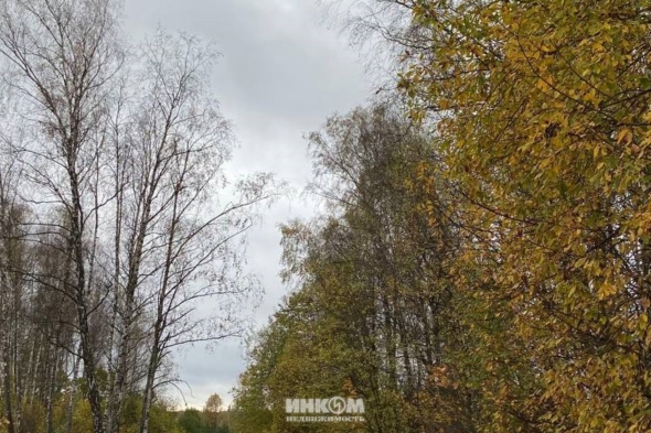 Коттеджный поселок Скандик Форест: Участки, Дома. Симферопольское ш., 55 км от МКАД