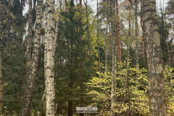 Коттеджный поселок Скандик Форест: Участки, Дома. Симферопольское ш., 55 км от МКАД