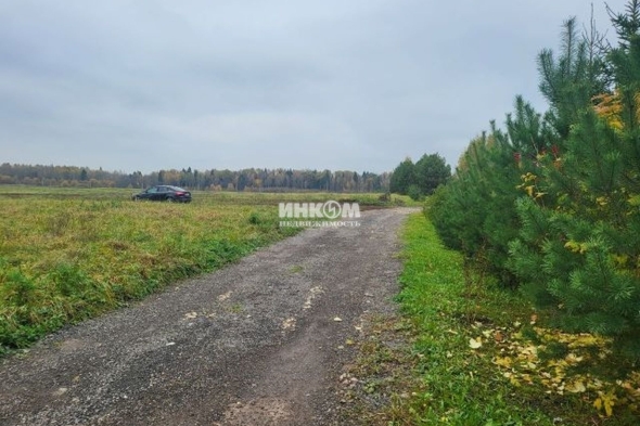 Коттеджный поселок Усадьбы Горки: Участки. Рогачевское ш., 42 км от МКАД