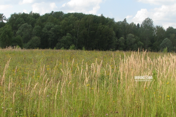 Коттеджный поселок КП Знаменка Парк: Участки. Минское ш., 115 км от МКАД