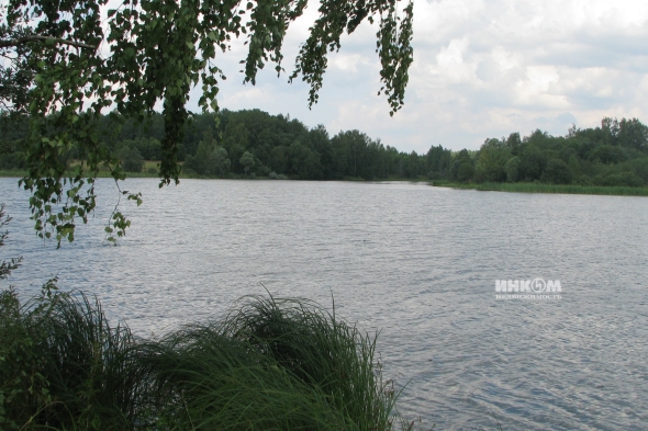 Коттеджный поселок Знаменка Парк: Участки. Минское ш., 115 км от МКАД